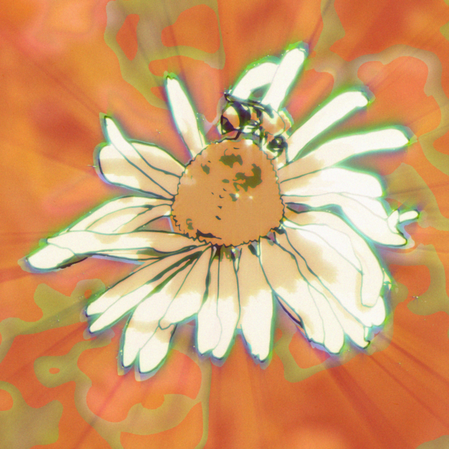 Qube’s Echinacea is available on iTunes and Spotify!!!